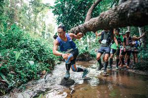 BIB: 
                            <button type="button" onclick="openModal(25370173)" class="btn btn-primary btn-sm float-right btn-popup" data-toggle="modal" data-target=".modal-high-quality">
                        <i class="fas fa-shopping-cart"></i> Add to Cart
                    </button>
                                            <button type="button" onclick="isThisMe(25370173, true)" class="btn btn-success btn-sm float-right btn-popup btn-isme hidden" data-toggle="tooltip" data-placement="bottom" title="นี่คือรูปของคุณใช่ไหม คลิกที่นี่เพื่อเอาเข้าอัลบั้ม">
                        <i class="fas fa-plus"></i> Add to album
                    </button>
                    <button type="button" onclick="isThisMe(25370173, false)" class="btn btn-warning btn-sm float-right btn-popup btn-isnotme hidden">
                        <i class="fas fa-ban"></i> Remove from album
                    </button>